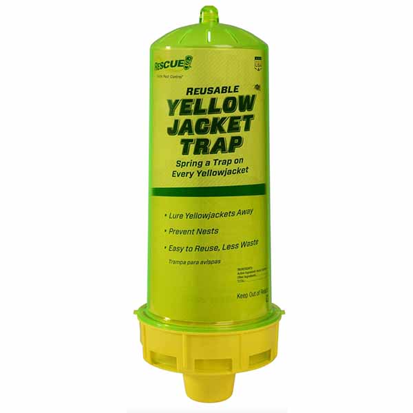Yellow Jacket trap